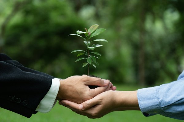 Rse (responsabilité sociétale des entreprises) : comprendre ses enjeux fondamentaux